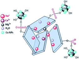 Graphical abstract: Sulfonyl-bridged (copper-immobilized nickel ferrite) with activated montmorillonite, [(NiFe2O4@Cu)SO2(MMT)]: a new class of magnetically separable clay nanocomposite systems towards Hantzsch synthesis of coumarin-based 1,4-dihydropyridines