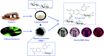 Graphical abstract: Development of active and intelligent films based on cassava starch and Chinese bayberry (Myrica rubra Sieb. et Zucc.) anthocyanins