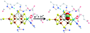 Graphical abstract: Resolving the structure of the E1 state of Mo nitrogenase through Mo and Fe K-edge EXAFS and QM/MM calculations