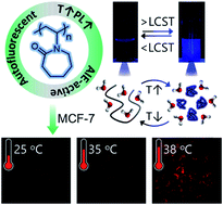 Graphical abstract: AIE-active non-conjugated poly(N-vinylcaprolactam) as a fluorescent thermometer for intracellular temperature imaging