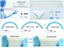 Graphical abstract: Flexible and stretchable dual mode nanogenerator for rehabilitation monitoring and information interaction