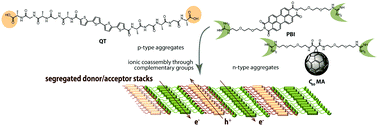 Graphical abstract: Assembly effect on the charge carrier mobility in quaterthiophene-based n/p-materials