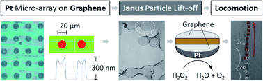 Graphical abstract: Autoperforation of two-dimensional materials to generate colloidal state machines capable of locomotion