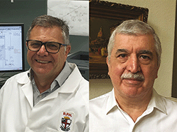 Graphical abstract: Polyphenols and health