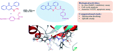 Graphical abstract: Design, synthesis and in silico studies of new quinazolinone derivatives as antitumor PARP-1 inhibitors