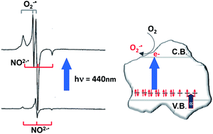 Graphical abstract: Nitrogen-doped semiconducting oxides. Implications on photochemical, photocatalytic and electronic properties derived from EPR spectroscopy