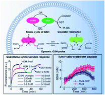 Graphical abstract: A ratiometric fluorescent probe for real-time monitoring of intracellular glutathione fluctuations in response to cisplatin