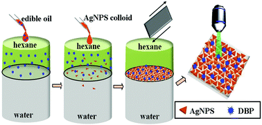 Graphical abstract: Liquid–liquid interfacial self-assembled triangular Ag nanoplate-based high-density and ordered SERS-active arrays for the sensitive detection of dibutyl phthalate (DBP) in edible oils