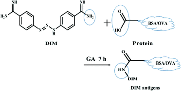 Graphical abstract: Ultrasensitive immunochromatographic strip assay for the detection of diminazene