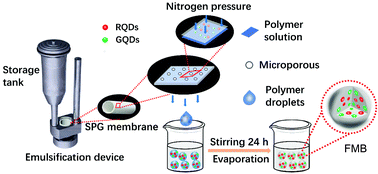 Graphical abstract: Rational design of fluorescent barcodes for suspension array through a simple simulation strategy
