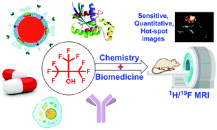 Graphical abstract: Perfluoro-tert-butanol: a cornerstone for high performance fluorine-19 magnetic resonance imaging