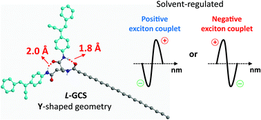 Graphical abstract: Solvent-regulated chiral exciton coupling and CPL sign inversion of an amphiphilic glutamide-cyanostilbene