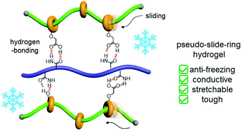 Graphical abstract: Conductive and anti-freezing hydrogels constructed by pseudo-slide-ring networks