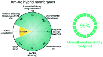 Graphical abstract: Amyloid fibril-based membranes for PFAS removal from water