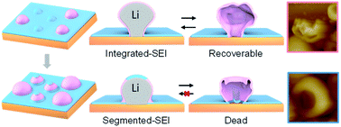 Graphical abstract: Formation sequence of solid electrolyte interphases and impacts on lithium deposition and dissolution on copper: an in situ atomic force microscopic study