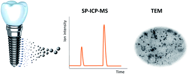 Graphical abstract: Evaluation of nanodebris produced by in vitro degradation of titanium-based dental implants in the presence of bacteria using single particle and single cell inductively coupled plasma mass spectrometry