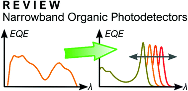 Graphical abstract: Narrowband organic photodetectors – towards miniaturized, spectroscopic sensing