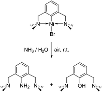 Graphical abstract: Aerobic oxidation-functionalization of the aryl moiety in van Koten's pincer complex (NCN)Ni(ii)Br: relevance to carbon–heteroatom coupling reactions promoted by high-valent nickel species