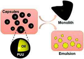 Graphical abstract: Inter-capsule fusion and capsule shell destruction using dynamic covalent polymers