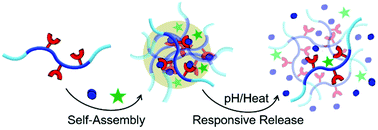 Graphical abstract: Hydrogen-bonded supramolecular polymer micelles with pH/photothermal-responsive carmofur release and combined chemo-photothermal therapy