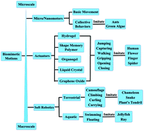 Graphical abstract: Recent progress of biomimetic motions—from microscopic micro/nanomotors to macroscopic actuators and soft robotics