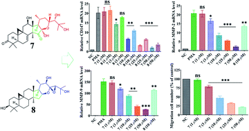 Graphical abstract: New triterpenes from Cimicifuga yunnanensis down-regulating the mRNA expression of CD147, MMP-2, and MMP-9