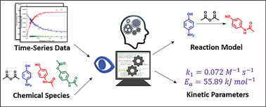 Graphical abstract: An automated computational approach to kinetic model discrimination and parameter estimation