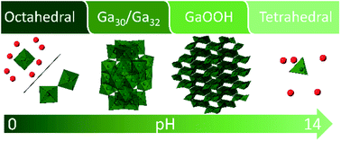 Graphical abstract: Pair distribution function and 71Ga NMR study of aqueous Ga3+ complexes