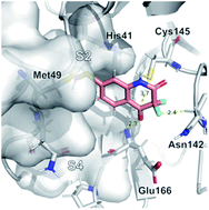 Graphical abstract: Computationally driven discovery of SARS-CoV-2 Mpro inhibitors: from design to experimental validation