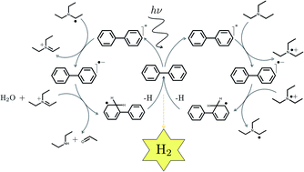 Graphical abstract: Hydrogen evolution by polymer photocatalysts; a possible photocatalytic cycle