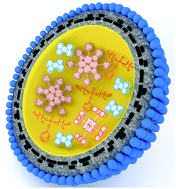 Graphical abstract: Thermally activated delayed fluorescence in an optically accessed soft matter environment