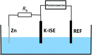 Graphical abstract: Bypassed ion-selective electrodes – self-powered polarization for tailoring of sensor performance