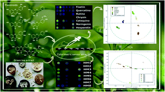Graphical abstract: Paper-based colorimetric sensor array for the rapid and on-site discrimination of green tea samples based on the flavonoid composition