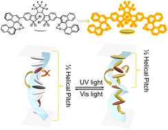 Graphical abstract: Cascade energy transfer augmented circular polarization in photofluorochromic cholesteric texture