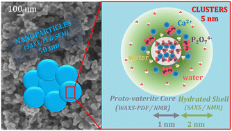 Graphical abstract: Pyrophosphate-stabilised amorphous calcium carbonate for bone substitution: toward a doping-dependent cluster-based model