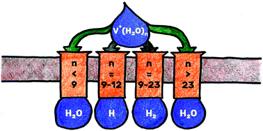 Graphical abstract: Size-dependent H and H2 formation by infrared multiple photon dissociation spectroscopy of hydrated vanadium cations, V+(H2O)n, n = 3–51