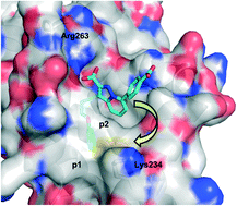 Graphical abstract: Recent applications of covalent chemistries in protein–protein interaction inhibitors