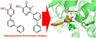 Graphical abstract: Hydroxypyrone derivatives in drug discovery: from chelation therapy to rational design of metalloenzyme inhibitors