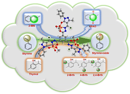 Graphical abstract: Trinuclear dioxidomolybdenum(vi) complexes derived from benzene-1,3,5-tricarbohydrazide and study of the catalytic activity