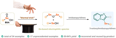 Graphical abstract: Arylseleninic acid derivative decomposition towards Se(ii)-based electrophiles: an elegant approach to construct 3-selanyl-imidazopyridines