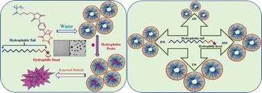 Graphical abstract: Efficient route to synthesizing a biocompatible delivery system undergoing morphological changes upon solvent variation