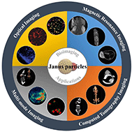 Graphical abstract: Recent progress on bioimaging strategies based on Janus nanoparticles