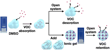 Graphical abstract: Mucus-inspired organogel as an efficient absorbent and retention agent for volatile organic compounds