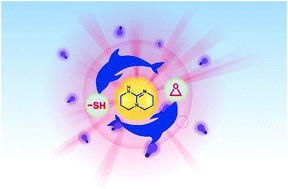 Graphical abstract: Photobase-catalysed anionic thiol-epoxy click photopolymerization under NIR irradiation: from deep curing to shape memory