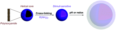 Graphical abstract: Stimuli-responsive and core cross-linked micelles developed by NiCCo-PISA of helical poly(aryl isocyanide)s