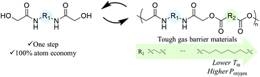 Graphical abstract: Ductile gas barrier poly(ester–amide)s derived from glycolide