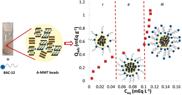 Graphical abstract: Adsorption of cationic surfactant as a probe of the montmorillonite surface reactivity in the alginate hydrogel composites