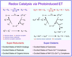 Graphical abstract: Redox catalysis via photoinduced electron transfer