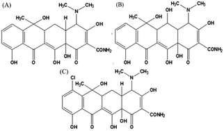 Graphical abstract: Magnetic Fe–N–C nanoparticles as a dual nanozyme for label-free colorimetric detection of antibiotics