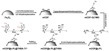 Graphical abstract: Post-synthesis of a titanium-rich magnetic COF nanocomposite with flexible branched polymers for efficient enrichment of phosphopeptides from human saliva and serum